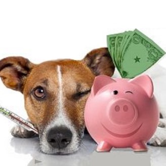 Consejos para ahorrar en coberturas veterinarias 1 consejos para ahorrar en coberturas veterinarias