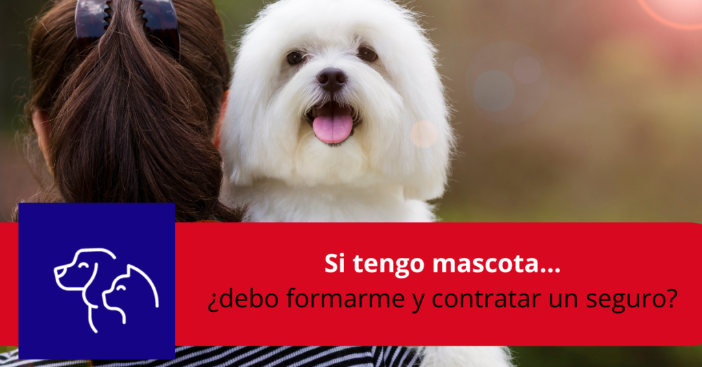 Cuándo asegurar a tu nueva mascota 1 cuando asegurar a tu nueva mascota